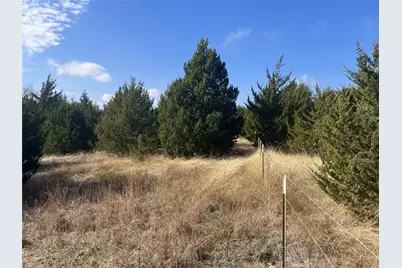 Tbd County Road 670, Blue Ridge, TX 75424 - Photo 7