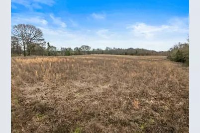 Tbd County Road 2212, Pittsburg, TX 75686 - Photo 3
