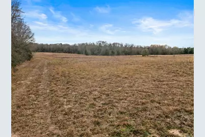 Tbd County Road 2212, Pittsburg, TX 75686 - Photo 13