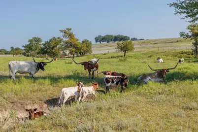 Tbd 18 Pr 20, Glen Rose, TX 76690 - Photo 13