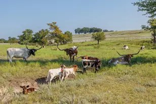 Tbd 18 Pr 20, Glen Rose, TX 76690 - Photo 13