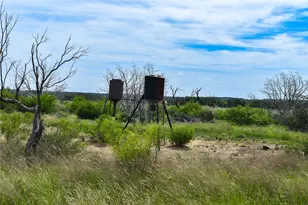 1300 Homestead Dr, Rochelle, TX 76872 - Photo 31