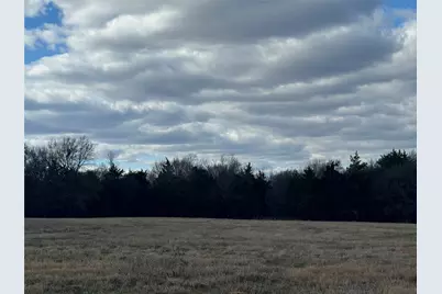 29 Acres County Road 2400, Pickton, TX 75471 - Photo 5