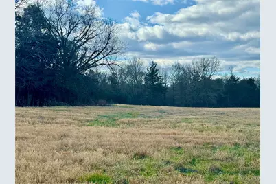 29 Acres County Road 2400, Pickton, TX 75471 - Photo 7