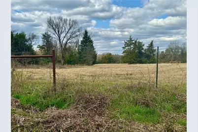 29 Acres County Road 2400, Pickton, TX 75471 - Photo 9