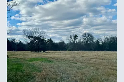 29 Acres County Road 2400, Pickton, TX 75471 - Photo 5