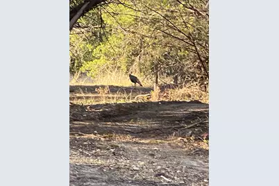 1068 Eagles Bluff Drive, Weatherford, TX 76087 - Photo 5