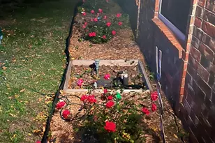 1725 Whiteoak Dr, Garland, TX 75040 - Photo 23