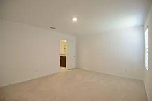 14133 Aberavon Dr, Pilot Point, TX 76258 - Photo 15