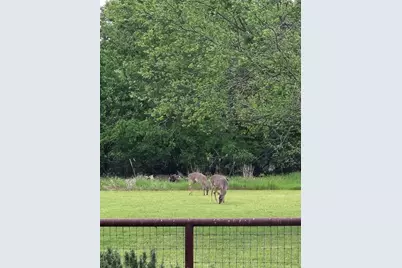 433 Wilderness Trail, Royse City, TX 75189 - Photo 37