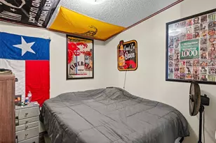 7040 Horseshoe Bend Trail, Weatherford, TX 76087 - Photo 17