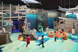 1733 Barnwood Trce, Weston, TX 75009 - Photo 39