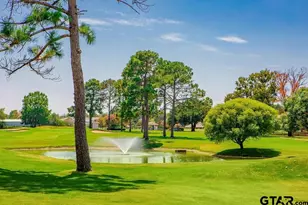 212 Canyon Dr, Hideaway, TX 75771 - Photo 35