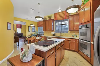 123 Native Circle, Lancaster, TX 75146 - Photo 9