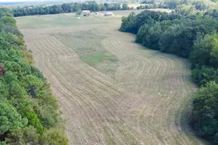 Tbd Cr 2737-1, Naples, TX 75568 - Photo 3