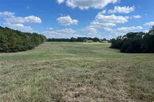 Tbd Cr 2737-1, Naples, TX 75568 - Photo 5