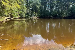 Tbd Cr 2737-1, Naples, TX 75568 - Photo 7