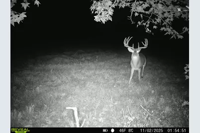 Tbd Cr 2737-1, Naples, TX 75568 - Photo 23