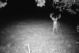 Tbd Cr 2737-1, Naples, TX 75568 - Photo 23