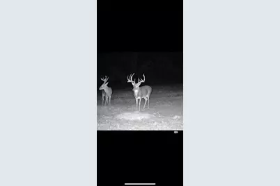 Tbd Cr 2737-1, Naples, TX 75568 - Photo 15