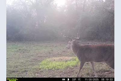 Tbd Cr 2737-1, Naples, TX 75568 - Photo 25