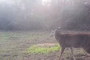 Tbd Cr 2737-1, Naples, TX 75568 - Photo 25