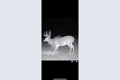 Tbd Cr 2737-1, Naples, TX 75568 - Photo 17