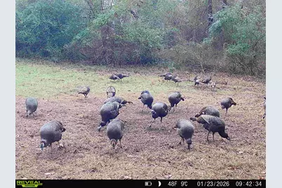 Tbd Cr 2738, Naples, TX 75568 - Photo 23