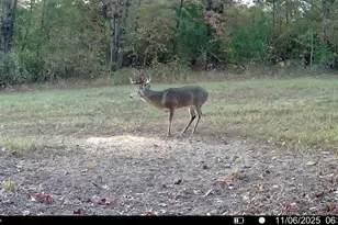 Tbd Cr 2738, Naples, TX 75568 - Photo 15