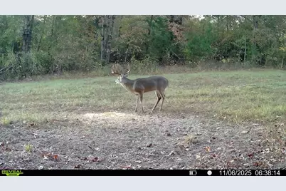 Tbd Cr 2738, Naples, TX 75568 - Photo 17