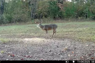 Tbd Cr 2738, Naples, TX 75568 - Photo 17