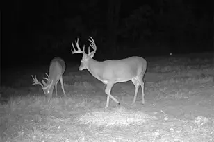 Tbd Cr 2738, Naples, TX 75568 - Photo 9