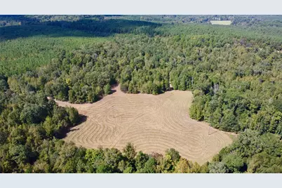 Tbd Cr 2738, Naples, TX 75568 - Photo 5