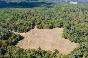 Tbd Cr 2738, Naples, TX 75568 - Photo 5