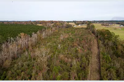 00 County Road 1211, Center, TX 75935 - Photo 15