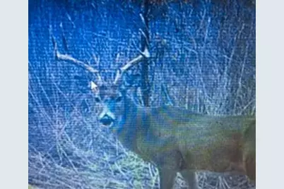 4480 Cen Tex Loop, Temple, TX 76501 - Photo 39