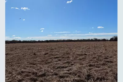 16674 Fm-148, Scurry, TX 75158 - Photo 5