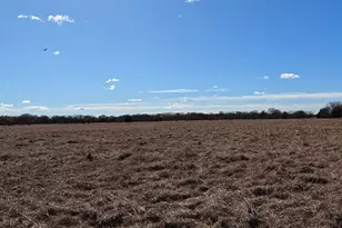 16674 FM148, Scurry, TX 75158 - Photo 5