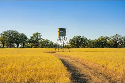 770 Sand Lane, Santo, TX 76472 - Photo 11