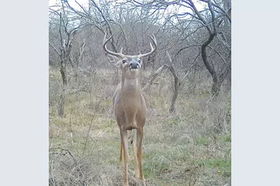 14725 Highway 183 N, Haltom City, TX 76857 - Photo 37