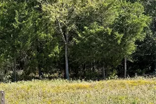 2924 Co Rd 1403, Malakoff, TX 75148 - Photo 5