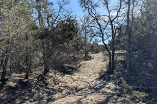 Tract 1 County Road 208, Lampasas, TX 76550 - Photo 17