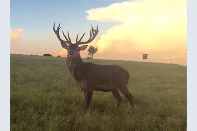 Tract 1 County Road 208, Lampasas, TX 76550 - Photo 1