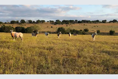 Tract 1 County Road 208, Lampasas, TX 76550 - Photo 5