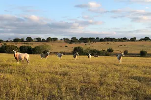 Tract 1 County Road 208, Lampasas, TX 76550 - Photo 5