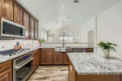 12407 Hawk Creek Drive, Frisco, TX 75033 - Photo 9