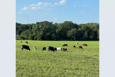 764 County Road 3422, Bynum, TX 76631 - Photo 9