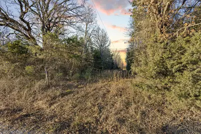 Tbd County Road 4618, Wolfe City, TX 75496 - Photo 39