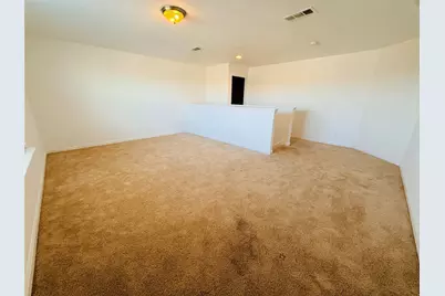 223 Magnolia Drive, Princeton, TX 75407 - Photo 13