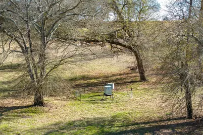 000 County Road 2918, Mineola, TX 75410 - Photo 11
